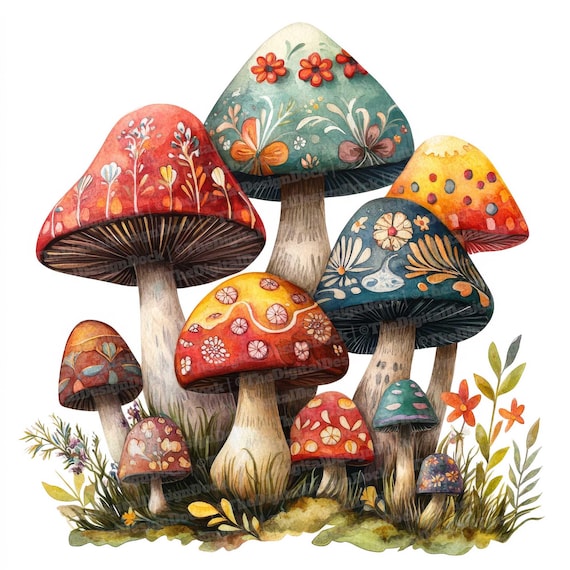 Folk Art Mushroom Clip Art, 12x Decorative Mushroom Clipart Set, Watercolor Forest Clip Art, Digital Download, Paper Crafts, Scrapbooking