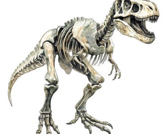 T-Rex Skeleton PNG Clipart, 12x Dinosaur Fossil Clip Art Set, rintable Watercolor Clip Art,Paper Crafts,Digital Download,Junk Journal Bundle