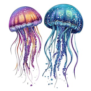 12x Marine Jellyfish PNG Clipart, Watercolor Sea Life Clip Art Set ...