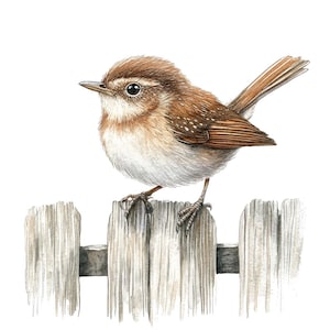 Wren PNG Clipart, 12x Birds on Fence Clip Art Set, Wydrukowalne akwarelowe Clip Art, Papierowe rękodzieło, Pobieranie cyfrowe, Junk Journal Bundle