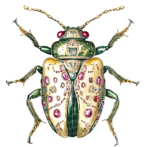 Decorative Beetle Clipart, 12 Watercolor Jeweled Insects, Printable ...
