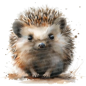 12 clipart de ouriço, clipart de pequenos animais em aquarela, clipart de aquarela para impressão, artesanato em papel, arte de parede, download digital, diários de lixo