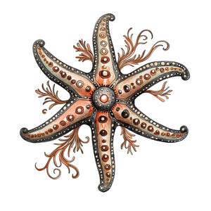 Folk Starfish Clip Art, 12x Starfish Mandala PNG Clipart Set, Watercolor Sea Life Clip Art, Printable Digital Download, Transparent PNG