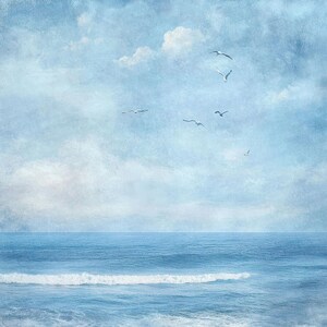 K&ouml;nnte beinhalten: Ein blauer Himmel mit wei&szlig;en Wolken und ein paar M&ouml;wen, die &uuml;ber einem blauen Meer mit Wellen fliegen.