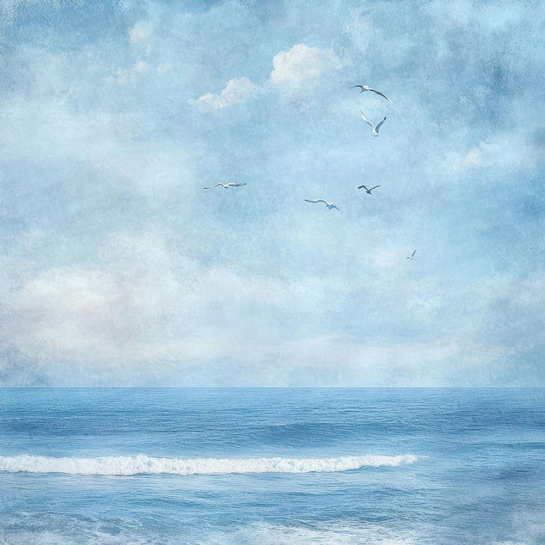 K&ouml;nnte beinhalten: Ein blauer Himmel mit wei&szlig;en Wolken und ein paar M&ouml;wen, die &uuml;ber einem blauen Meer mit Wellen fliegen.