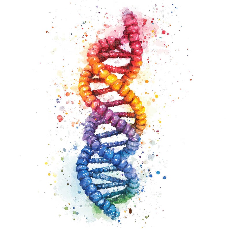 May include: A watercolor painting of a DNA double helix, rendered in a rainbow of colors. The helix is depicted against a white background with splattered watercolor paint.