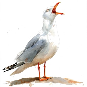 Clipart de gaviota, 12 archivos JPG, ilustración de gaviota en acuarela, clipart de acuarela imprimible, manualidades de papel, arte mural, descarga digital, revistas basura