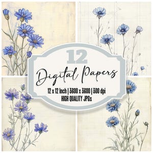 12x Cornflower Junk Journal Paper Vintage Botanical Sketch Digital Paper Pack High Quality JPGs Scrapbook Paper Digital Download
