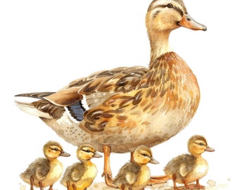 Animals Clipart