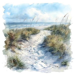 Sand Dune Path PNG Clipart, 12x Coastal Beach Trail Art Set, Printable Watercolor Clip Art, Transparent PNG, Digital Download, Paper Crafts