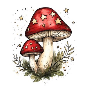 Folk Toadstool Clip Art, 12x Toadstool Cluster PNG Clipart Set, Watercolor Mushroom Clip Art, Printable Digital Download, Transparent PNG