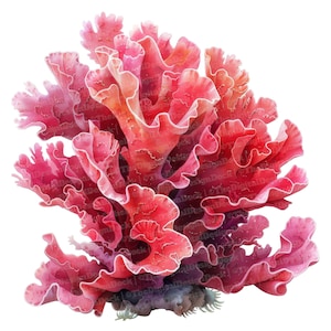Coral Reef Clipart, 12 JPGs, Underwater Coral Clipart, Printable Watercolor Clipart, Paper Crafts, Wall Art, Digital Download, Junk Journals