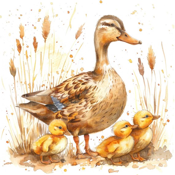 clipart-de-m-re-canard-illustration-d-un-canard-de-m-re-avec-ses