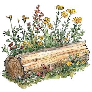 Wildflower log PNG-clipart, 12 x aquarel bos bloemen Clip Art Set, rustieke botanische PNG's, digitale download, junk Journal, scrapbooking