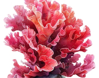 Imágenes prediseñadas PNG de arrecifes de coral, conjunto de 12 corales oceánicos en acuarela, ilustraciones de vida marina imprimibles, descarga digital, PNG con fondo transparente