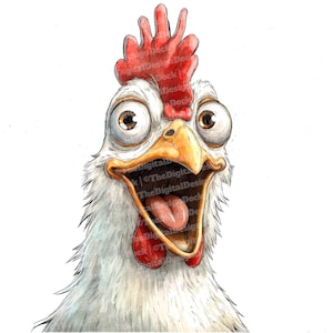Clipart di pollo divertente, set di 12 clipart di pollo sciocco ad acquerello, arte di animali da fattoria, download digitale, artigianato di carta, diario di spazzatura, album di ritagli