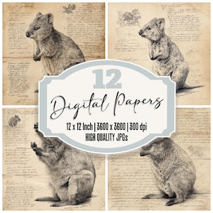 12x Quokka Sketch Junk Journal Paper Island Wildlife Study Carta digitale Confezione JPG di alta qualità Carta per scrapbooking Sfondi vintage