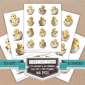 May include: Sheets of paper with watercolor illustrations of yellow chicks hatching from decorated eggs. The image includes the text "Fussy Cut Pages", "US Letter & A4 Sheets", "Inc. JPG + PNG Clipart", and "48 PCS". The image also includes the text "300 DPI" and "12 PAGES".
