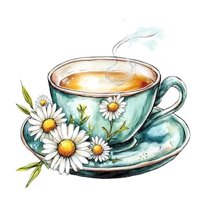 12x Floral Teacup PNG Clipart, Chamomile Tea Clip Art Set, Watercolor PNG, Printable Tea Time Clipart, Transparent Background, Junk Journal