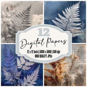 12 x paquet de papier numérique botanique vintage fougères fougères, papier de journal, JPG de haute qualité, papier de scrapbooking texturé, téléchargement numérique