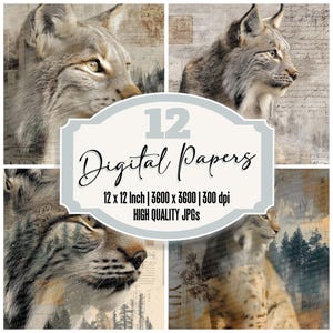 12x Carta da giornale Lynx Junk Carta digitale Foresta innevata Sfondi invernali Animali selvatici JPG di alta qualità Carta per scrapbooking Download digitale