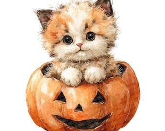 Halloween Kitten Pumpkin PNG Clipart, 12x Watercolor Cats in Pumpkins Clip Art Set, Printable Clipart, Digital Download, Transparent PNG