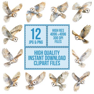 May include: Twelve watercolor illustrations of barn owls in flight. The owls are depicted with brown and white feathers, and their wings are spread wide. The illustrations are set against a white background. The text "12 JPG & PNG", "HIGH RES 4096 x 4096 300 DPI FILES", "HIGH QUALITY INSTANT DOWNLOAD CLIPART FILES" is also included in the image.