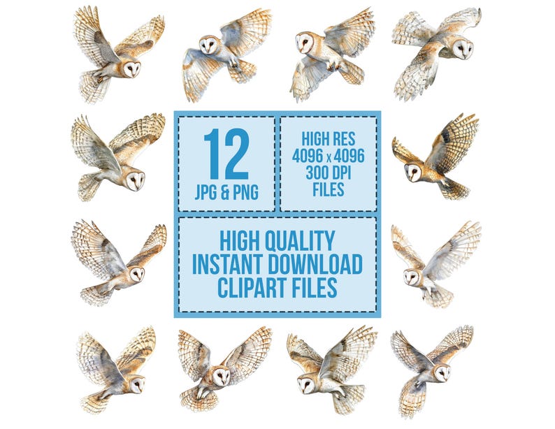 May include: Twelve watercolor illustrations of barn owls in flight. The owls are depicted with brown and white feathers, and their wings are spread wide. The illustrations are set against a white background. The text "12 JPG & PNG", "HIGH RES 4096 x 4096 300 DPI FILES", "HIGH QUALITY INSTANT DOWNLOAD CLIPART FILES" is also included in the image.