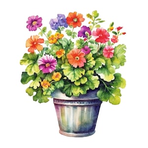 12 imágenes prediseñadas de plantas con flores en maceta, imágenes prediseñadas de flores en maceta, imágenes prediseñadas de acuarela imprimibles, arte mural, manualidades de papel, descarga digital, revistas basura