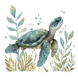 Nursery Sea Turtle Clipart, 12x Baby Turtle Art Set, Printable Watercolor Clip Art, Transparent PNG, Digital Download, Ocean Animal Clipart