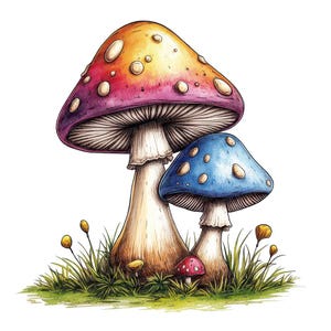 Clipart PNG champignon, 12 x champignon vénéneux fantastique Clip Art, clipart aquarelle imprimable, créations en papier, téléchargement numérique, lot de journaux indésirables