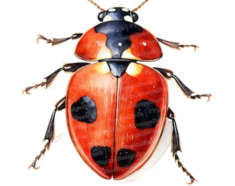 Animals Clipart