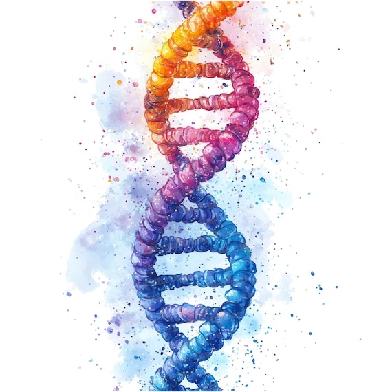 12 DNA Watercolor Clipart, Scientific Illustration Art, Printable Clipart, High Quality JPG, Digital Download, Paper Crafts, Junk Journals