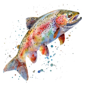 12 Rainbow Trout Clipart, Watercolor Fish Clipart, Printable Watercolor Clipart, Paper Crafts, Wall Art, Digital Download, Junk Journals