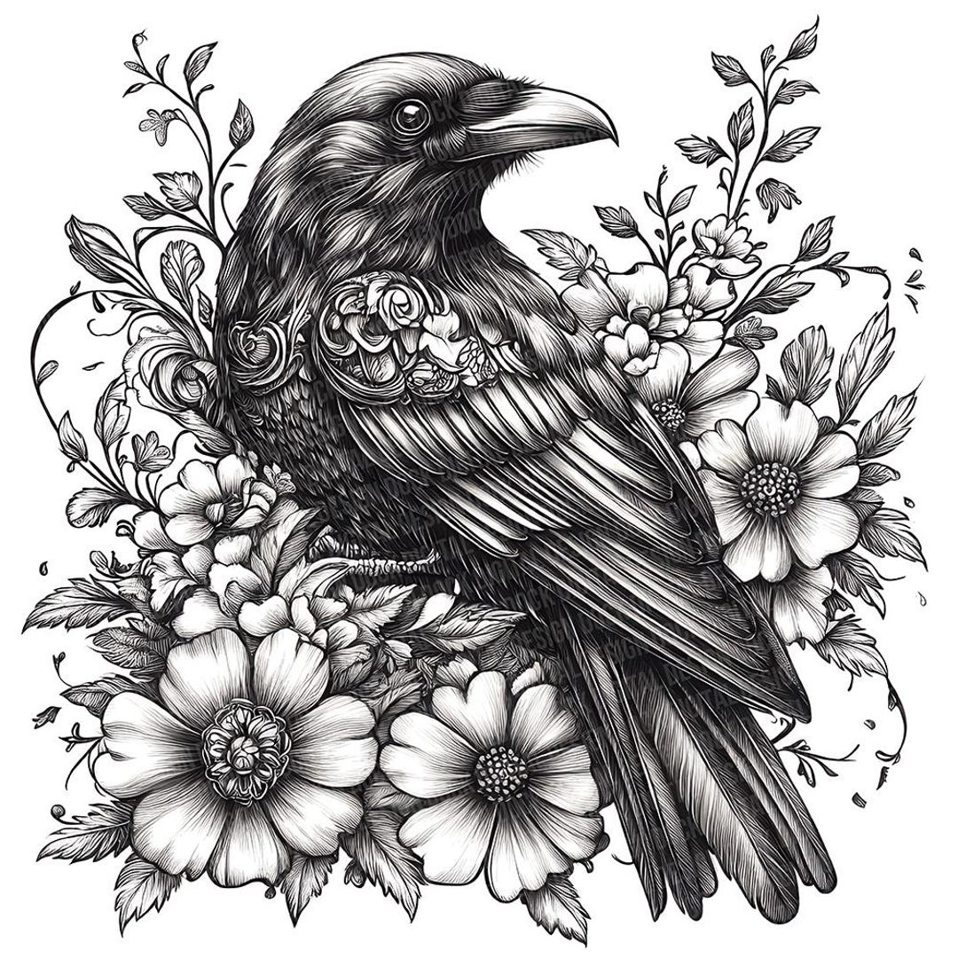 Raven Clip Raven PNG Clipart, 12x Black and White Raven Illustrations, Printable ...