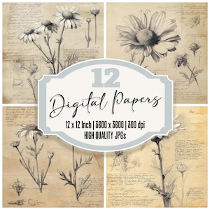 12x Sketch Chamomile Junk Journal Paper Confezione di carta digitale botanica Carta per scrapbooking vintage JPG di alta qualità Texture usurata