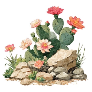 Cactus and Desert Flower Rockery PNG Art, 12x Southwestern Succulent Art, Printable Watercolor Cactus Scene, Transparent , Digital Download