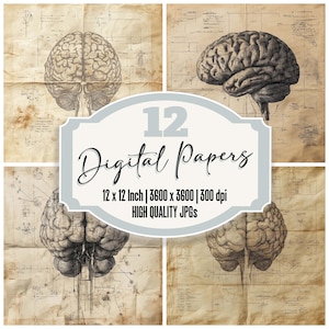 12x Gehirn Memory Map Junk Journal Papier Digitales Papier Pack Vintage Anatomie Diagramme Wissenschaft Textur Hochwertiges JPGs Printable Papier