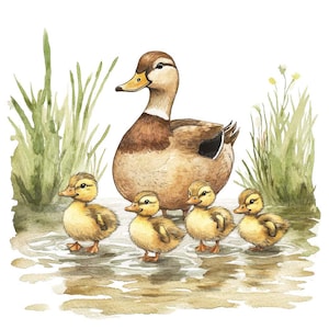 Enten Familie Clip Art, 12x Aquarell Enten und Entlein Clipart Set, druckbare Wildtier Clip Art, Papierhandwerk, digitaler Download, Junk Journal