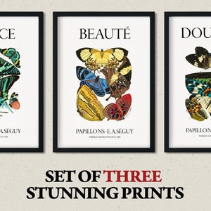 A Set of 3 Vibrant Paintings, inspired by E. A. Seguy - Butterflies, Papillons, Mariposas - DIGITAL DOWNLOAD