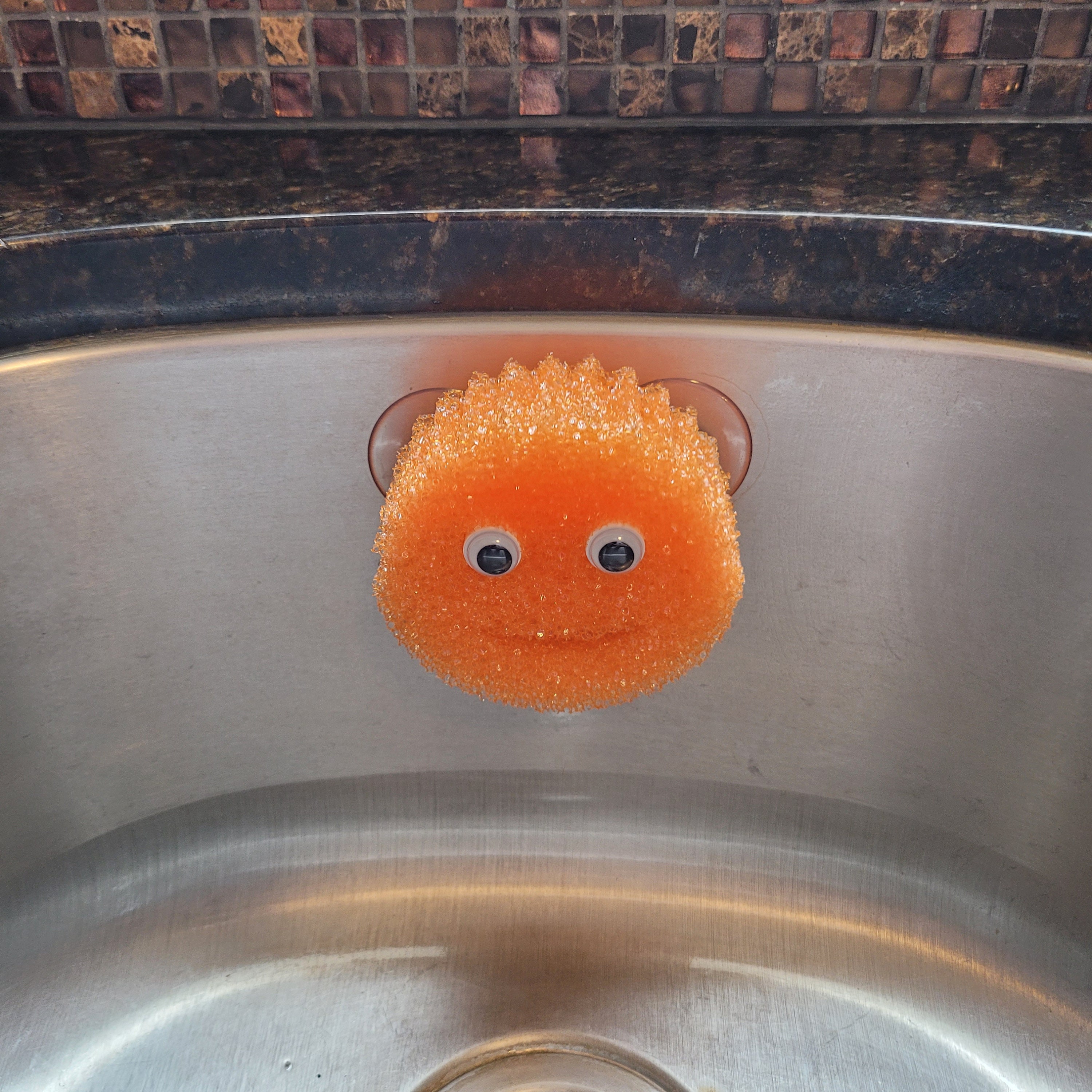 Scrub Daddy Suction Holder 