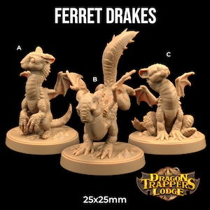 Ferret Drakes Miniatures | Dragon Trappers Lodge