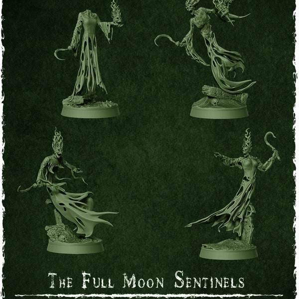 Full-Moon Sentinels Miniatures | The Wraith King's Army | Z.Axis