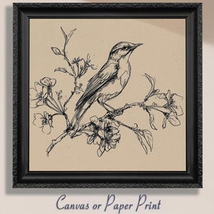 Botanische Vogel Skizze Druck Leinwand / Ungerahmt. Vintage Linie Zeichnung, minimalistische Natur Wand dekor, Elegante Haus Geschenk, Cottage Malerei Kunst