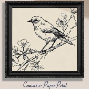 Botanische Vogel Skizze Druck Leinwand / Ungerahmt. Vintage Linie Zeichnung, minimalistische Natur Wand dekor, Elegante Haus Geschenk, Cottage Malerei Kunst