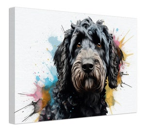 May include: A black dog with a white beard, looking directly at the camera. The dog is surrounded by colorful watercolor splatters in shades of blue, pink, and yellow.