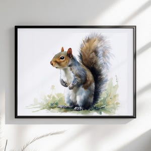 Tela o poster di scoiattolo carino. Stampa di pittura ad acquerello, amante della noce grigia con coda folta, dipinto su tela, da appendere alla parete, animale, creatura del bosco