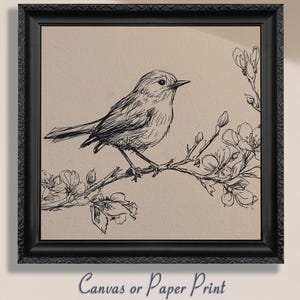Lienzo con dibujo de pájaro bonito (sin marco). Dibujo vintage, decoración minimalista de pared con motivos naturales, elegante regalo para el hogar, pintura de estilo rústico francés.