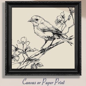 Botanischer Vogel Kunstdruck auf Leinwand Vintage Linie Zeichnung, minimalistische Natur Wand dekor, Elegante Haus Geschenk, Cottage Malerei Bild