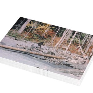 Bigfoot Full Frame 352 - Lots de cartes postales (enveloppes incluses)